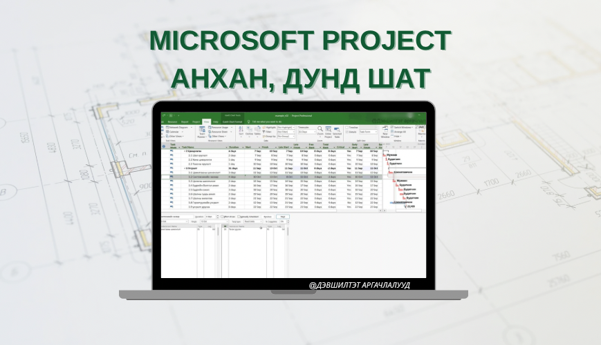 Microsoft Project ба Төслийн төлөвлөлт, хяналт- Анхан болон дунд шат